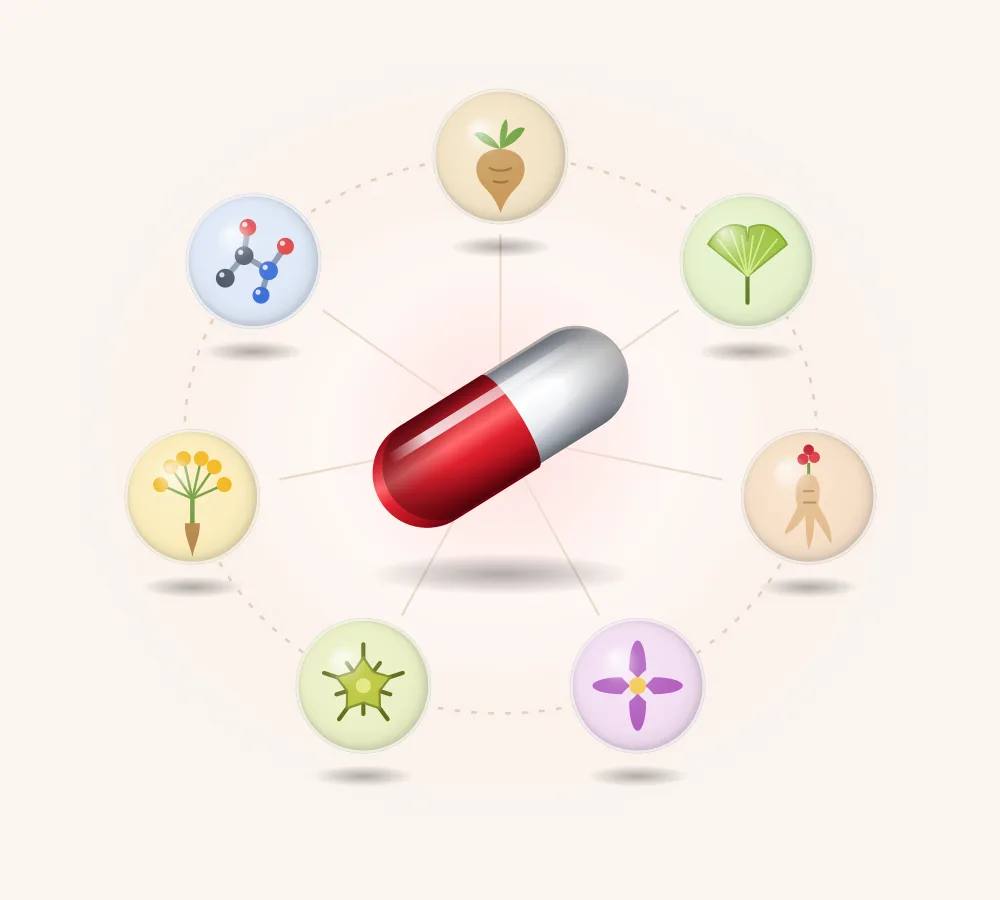 Feroxil formülündeki 7 bileşen: L-arjinin, epimedium, Kore ginsengi, maka kökü, Tribulus terrestris, ginkgo biloba ve çakşır otu kökü